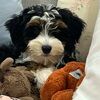reneebuckley46